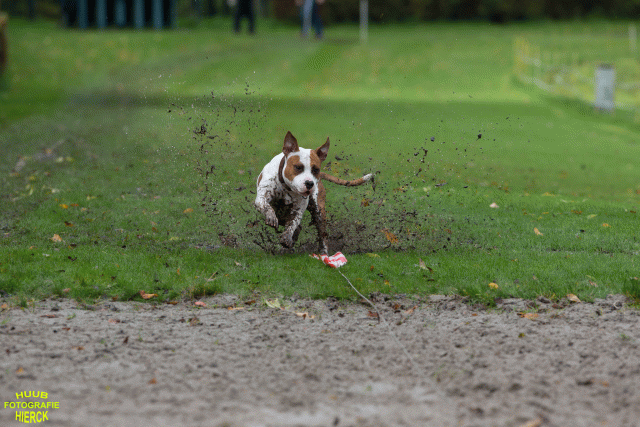 Ct3Q8546 37855964082 O