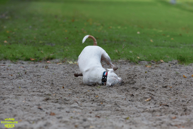 Ct3Q8541 37855964212 O