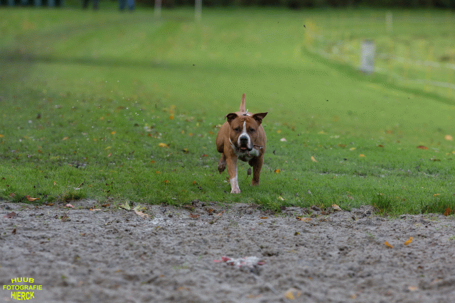 Ct3Q8516 37855966122 O