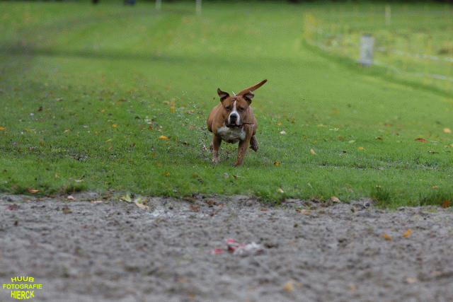 Ct3Q8513 37855966232 O