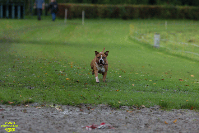 Ct3Q8509 37855966362 O