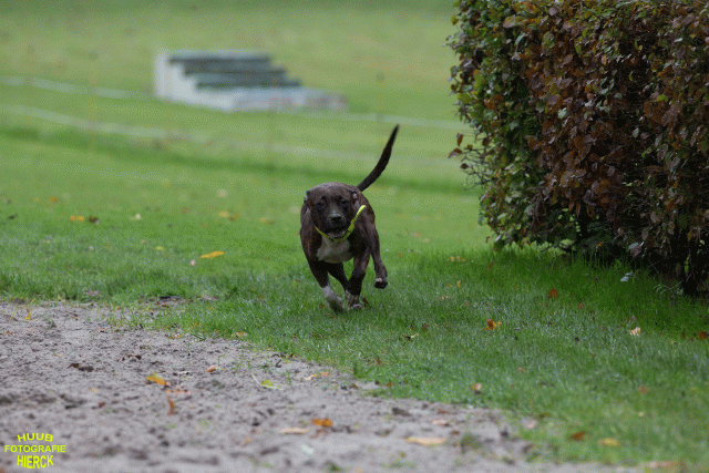 Ct3Q8507 37855967212 O