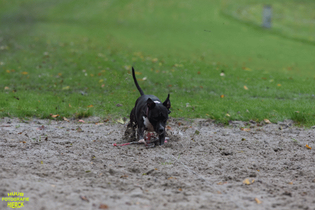 Ct3Q8504 37855967442 O