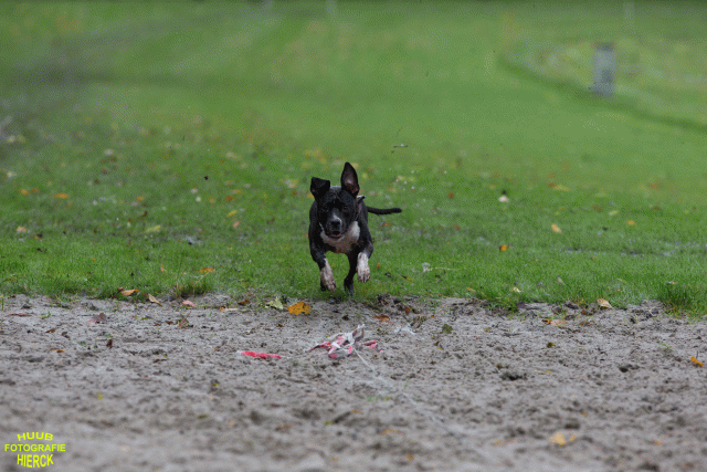 Ct3Q8501 37855967562 O