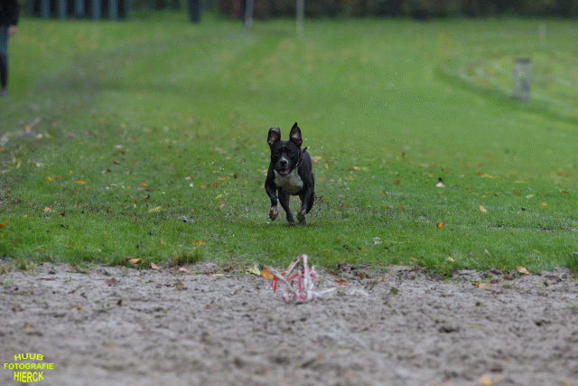 Ct3Q8498 37855967682 O