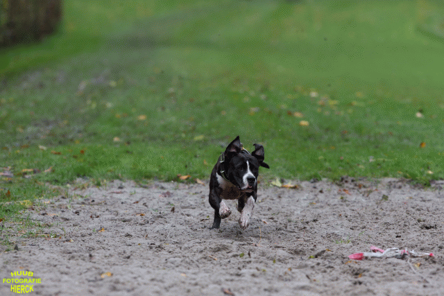 Ct3Q8495 37855967832 O