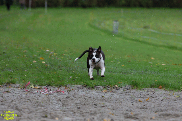 Ct3Q8475 37855968772 O