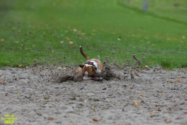 Ct3Q8466 37855969022 O