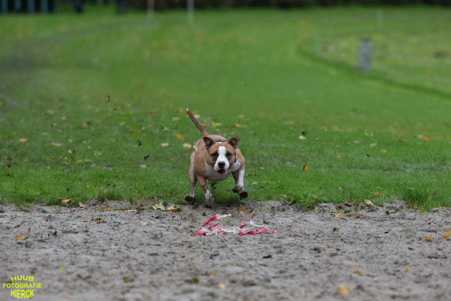 Ct3Q8463 37855969132 O