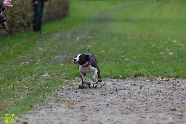 Ct3Q8460 37855969262 O