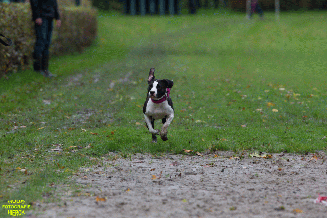 Ct3Q8457 37855969332 O