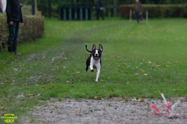 Ct3Q8454 37855969492 O