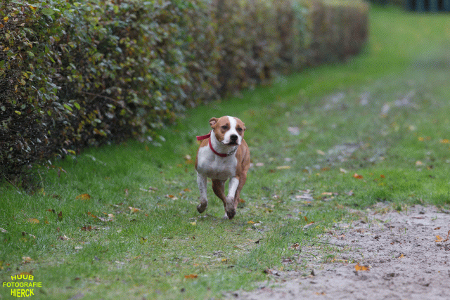 Ct3Q8450 37855969882 O