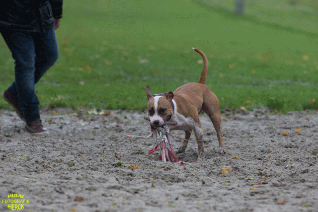 Ct3Q8449 37855969892 O