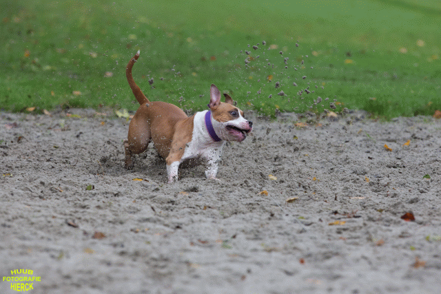 Ct3Q8443 37855970152 O