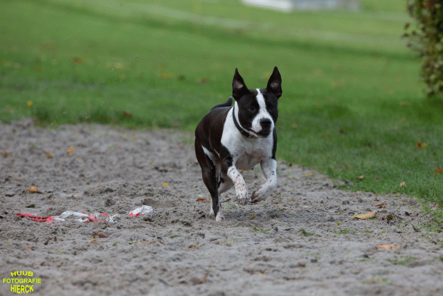 Ct3Q8716 37855998112 O