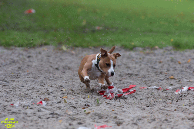 Ct3Q8713 37855998272 O