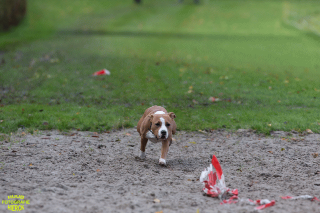 Ct3Q8708 37855998572 O