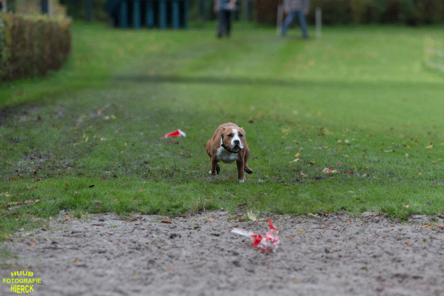 Ct3Q8702 37855998832 O