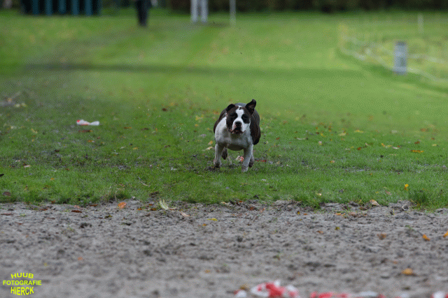 Ct3Q8686 37855999972 O