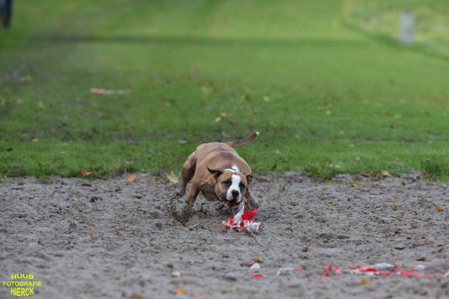 Ct3Q8667 37856000832 O