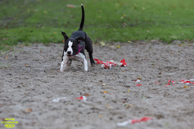 Ct3Q8659 37856001032 O