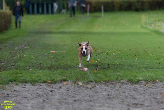 Ct3Q8660 37856001082 O