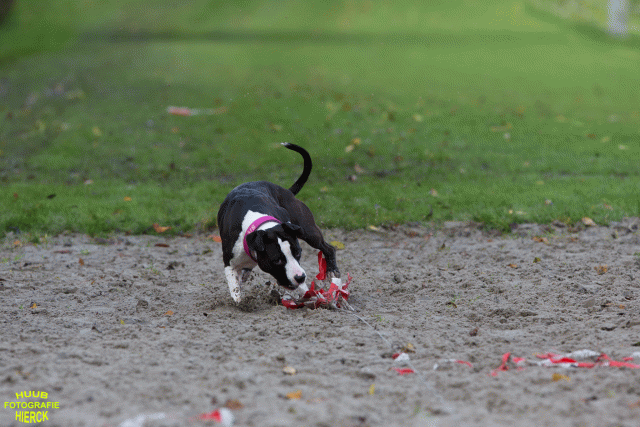 Ct3Q8657 37856001202 O