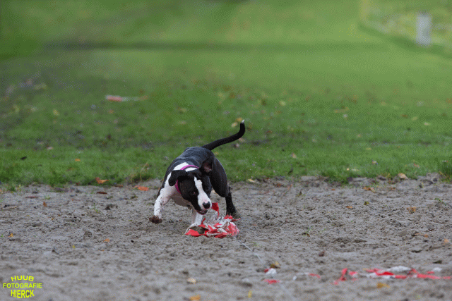 Ct3Q8656 37856001392 O