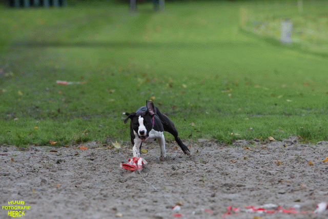 Ct3Q8654 37856001412 O