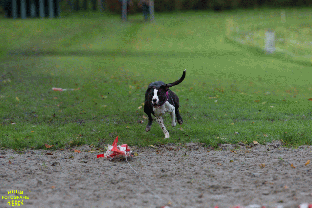 Ct3Q8651 37856001682 O