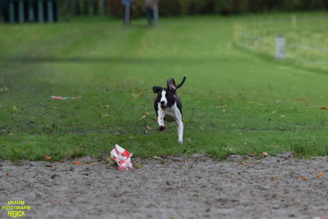 Ct3Q8650 37856001942 O