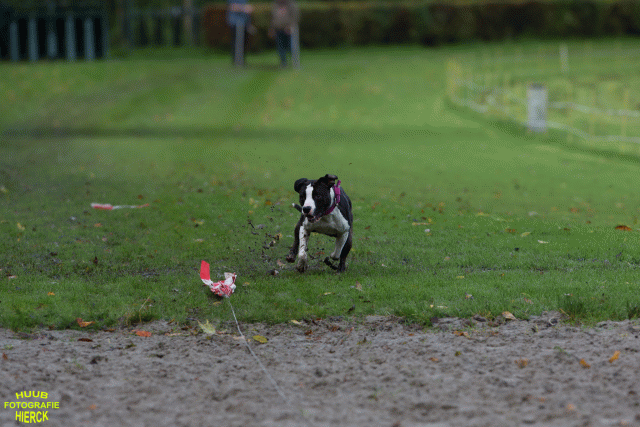 Ct3Q8648 37856002152 O