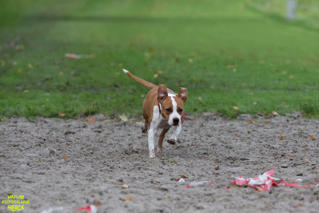 Ct3Q8645 37856002372 O