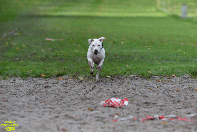 Ct3Q8625 37856003402 O