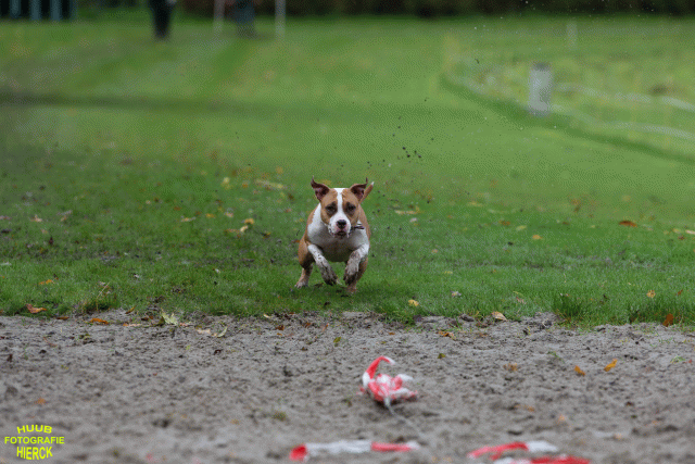 Ct3Q8600 37887063271 O