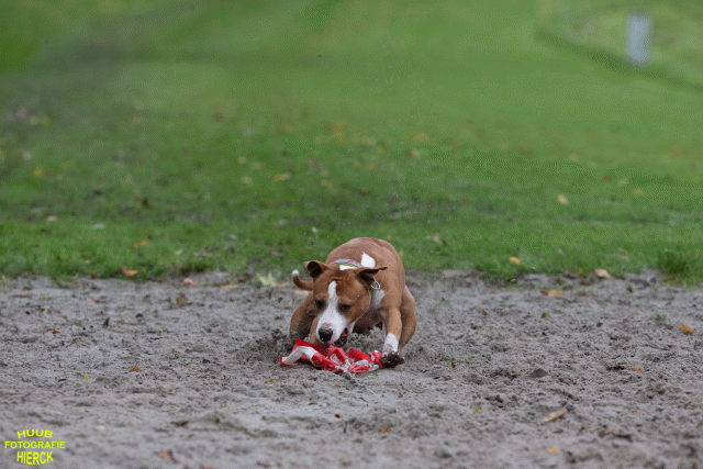 Ct3Q8576 37887065251 O