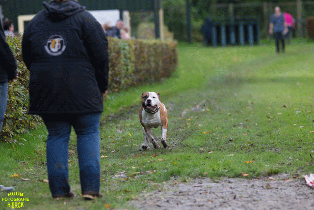 Ct3Q8565 37887065671 O