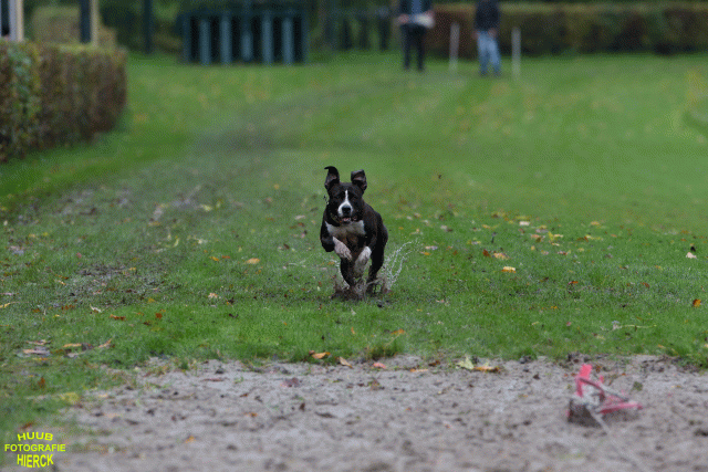 Ct3Q8489 37887070911 O