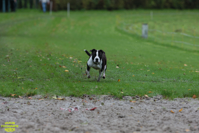 Ct3Q8485 37887071081 O