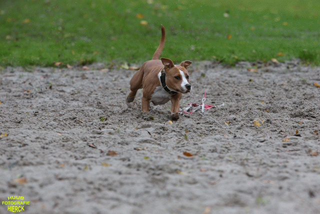 Ct3Q8482 37887071231 O