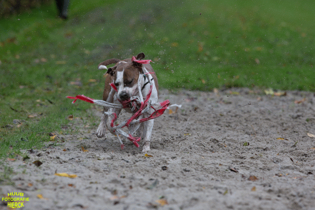 Ct3Q8439 37887073261 O