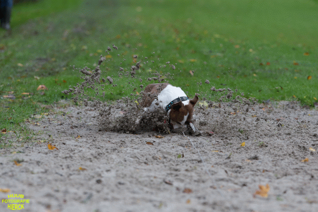 Ct3Q8436 37887073431 O