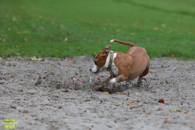 Ct3Q8433 37887073691 O