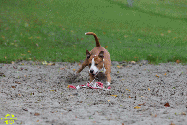 Ct3Q8430 37887073881 O