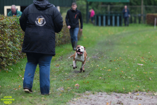 Ct3Q8427 37887074141 O