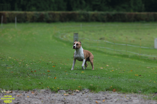 Ct3Q8424 37887074371 O