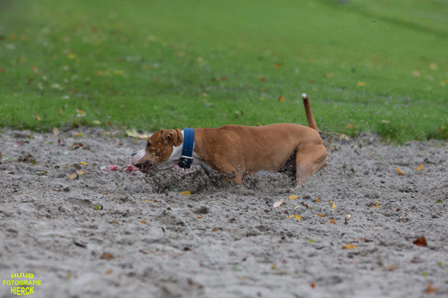 Ct3Q8421 37887074661 O