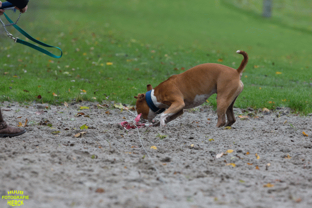 Ct3Q8418 37887074951 O