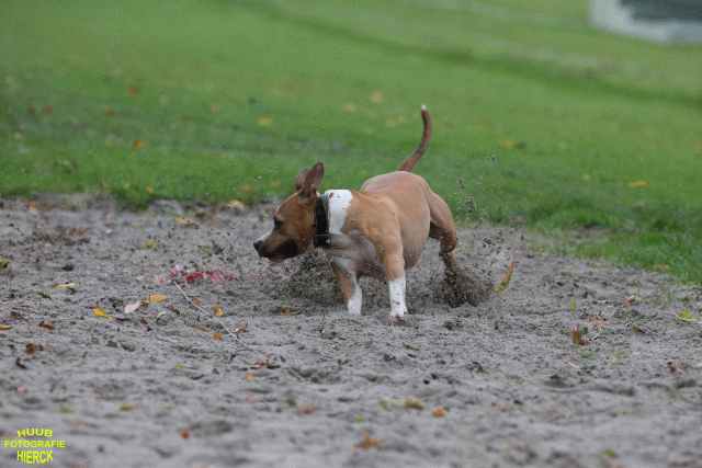 Ct3Q8400 37887076531 O